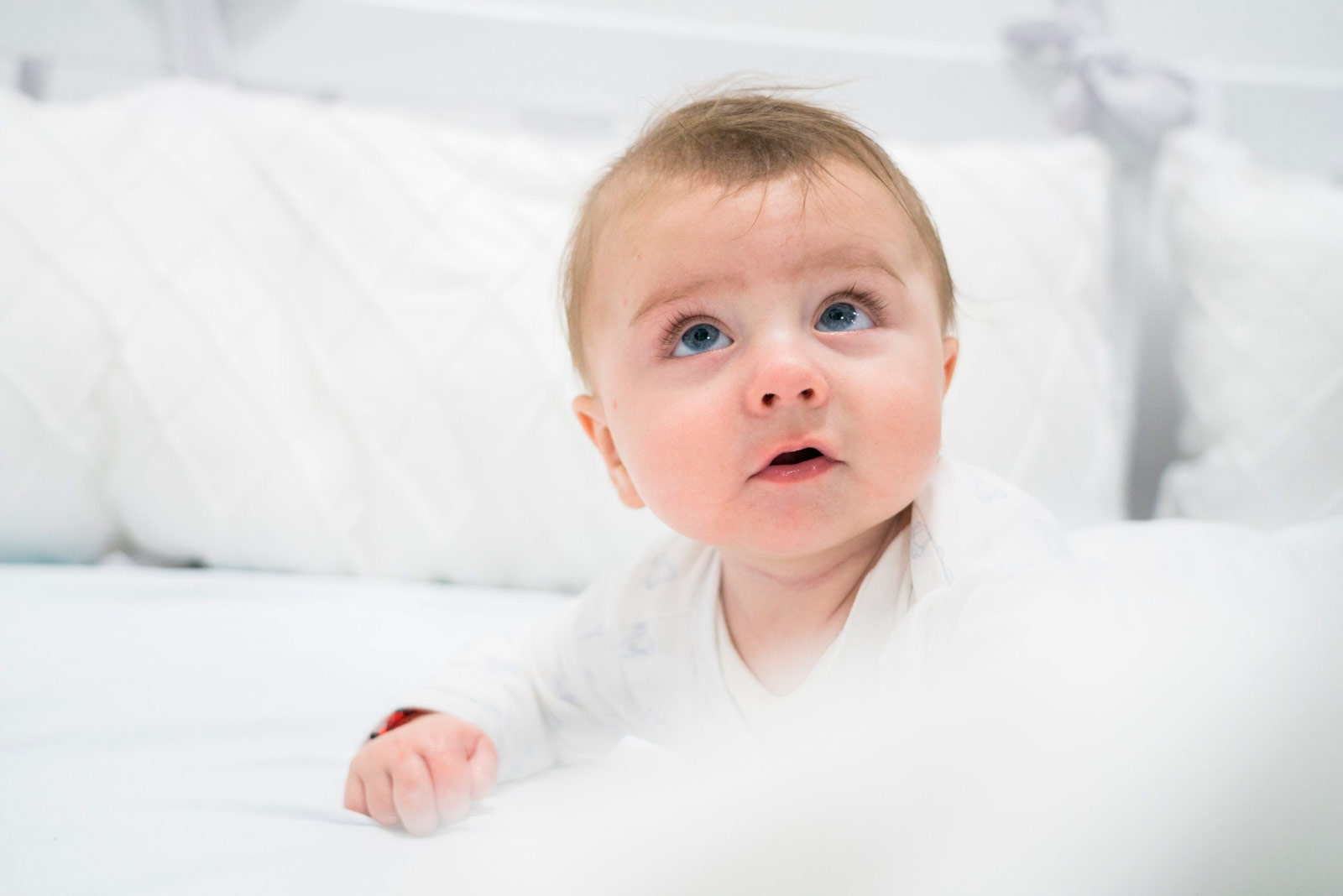 blog articulo cuatro baby loli min scaled cuatro